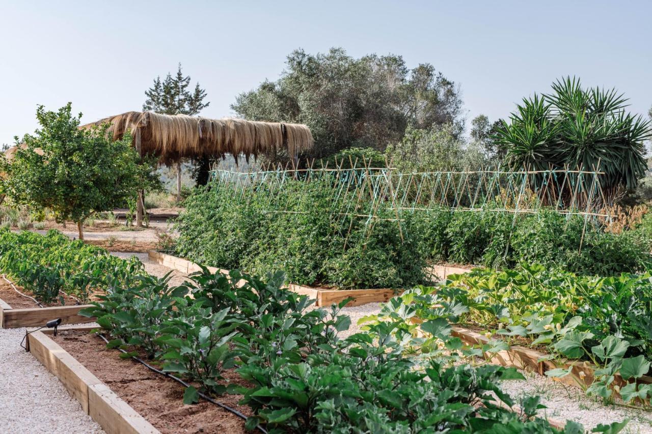 Agroturismo Can Domo Santa Eularia des Riu Exterior foto
